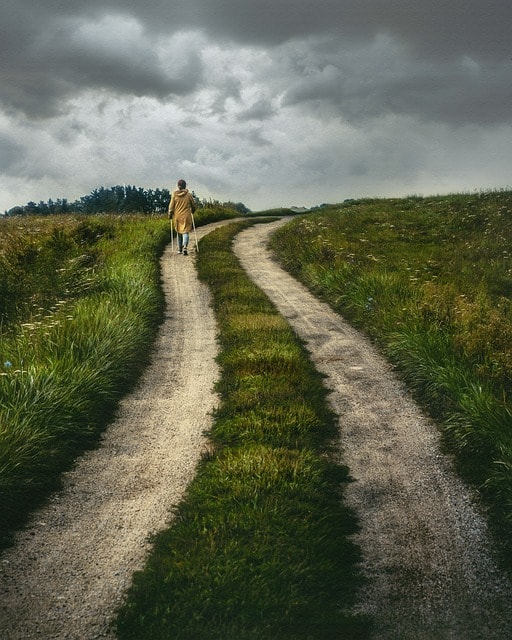 a person walking on a path with grass all around